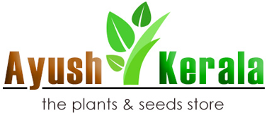 Ayush Kerala