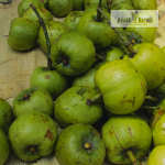 Bor-Thekera Fruit Plant Sale